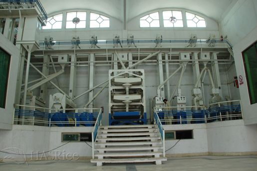 Processing Area (Polishers)